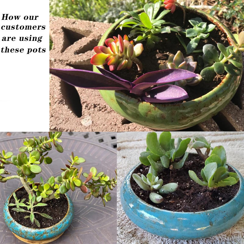ARTKETTY Succulents Plants Artificial - 7.3 Inch Large Potted Fake Succulent Plants for Home Office Desk Decor, Realistic Faux Succulents in Glazed Ceramic Pots - Image 5